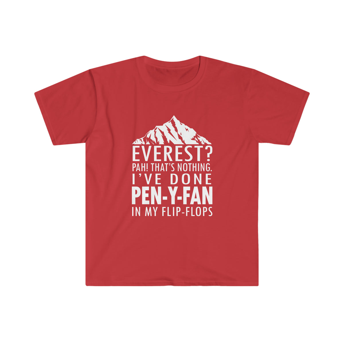 Everest? PAH! That's nothing! I've done Pen-y-Fan in my flip-flops tshirt tee t-shirt