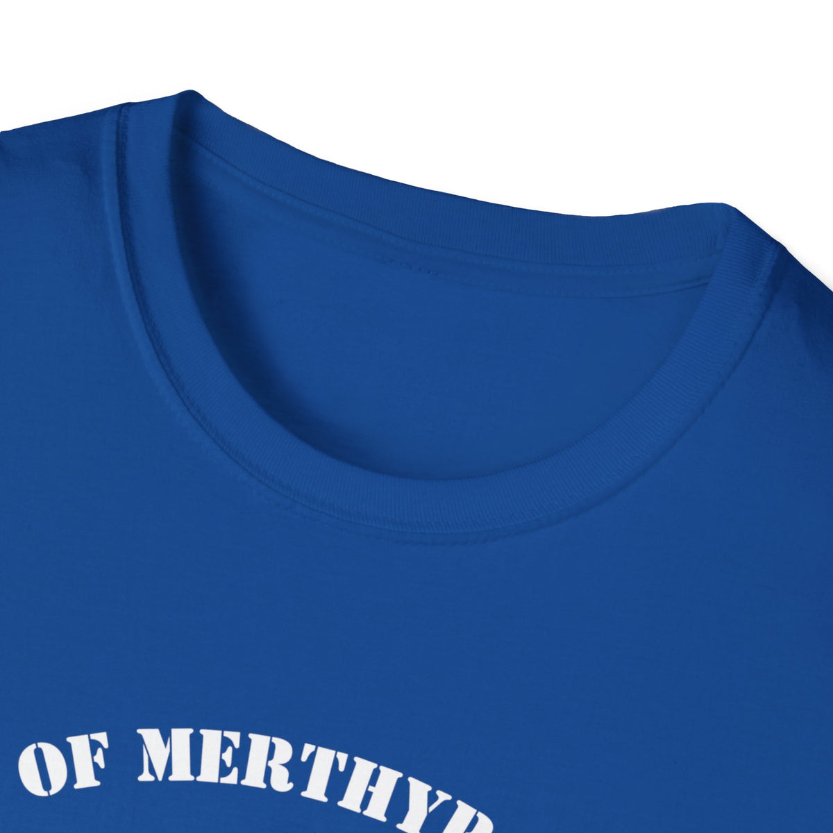 City of Merthyr Tydfil Flying Ant Division F.A.D t-shirt tee