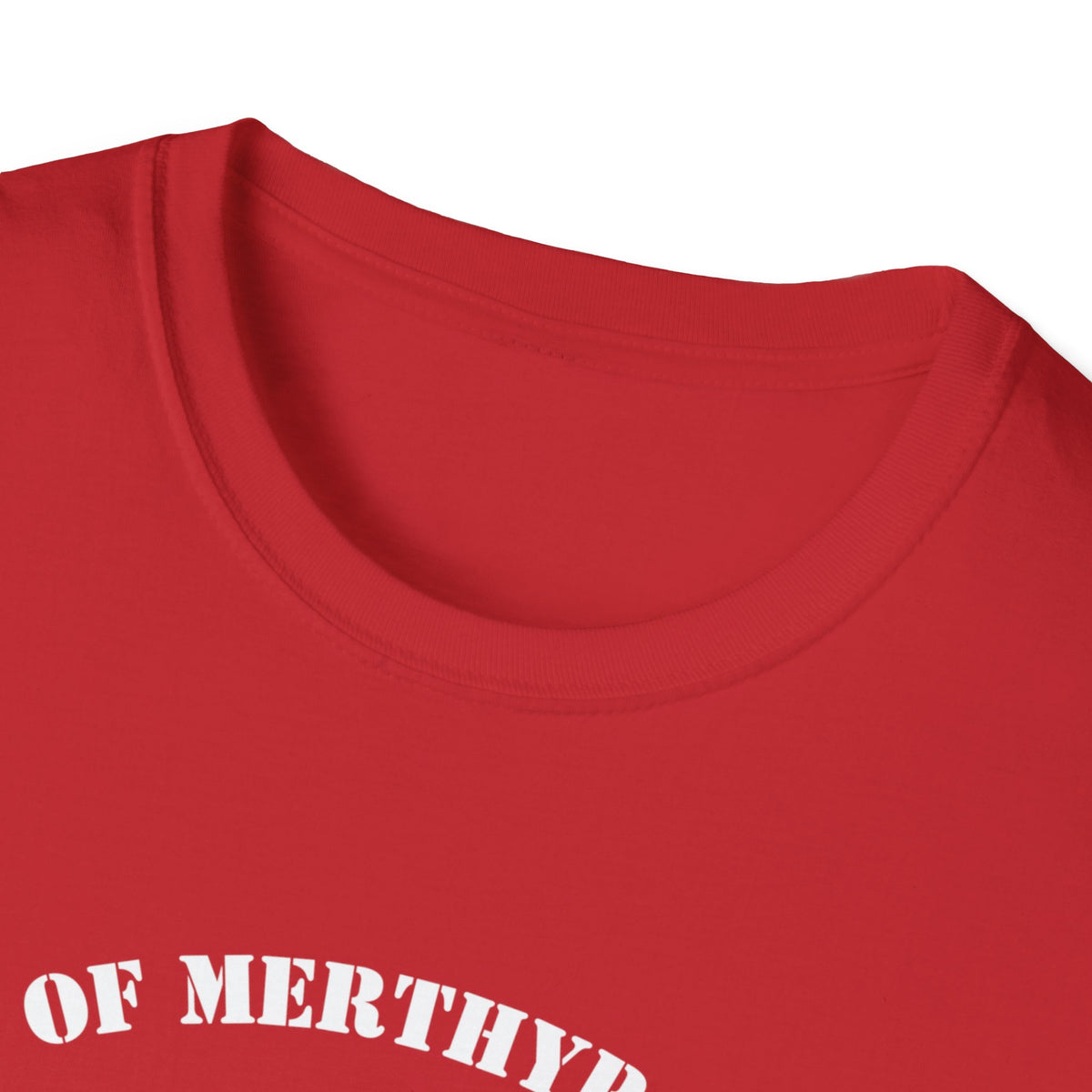 City of Merthyr Tydfil Flying Ant Division F.A.D t-shirt tee