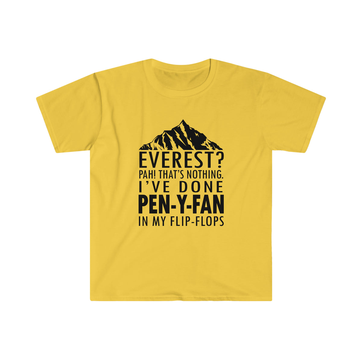 Everest? PAH! That's nothing! I've done Pen-y-Fan in my flip-flops tshirt tee t-shirt
