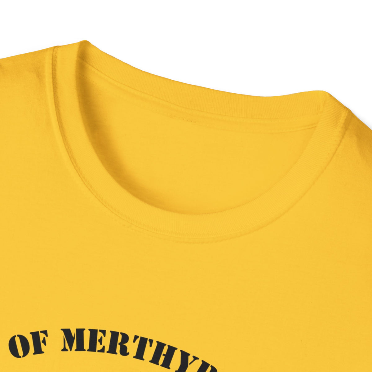 City of Merthyr Tydfil Flying Ant Division F.A.D t-shirt tee